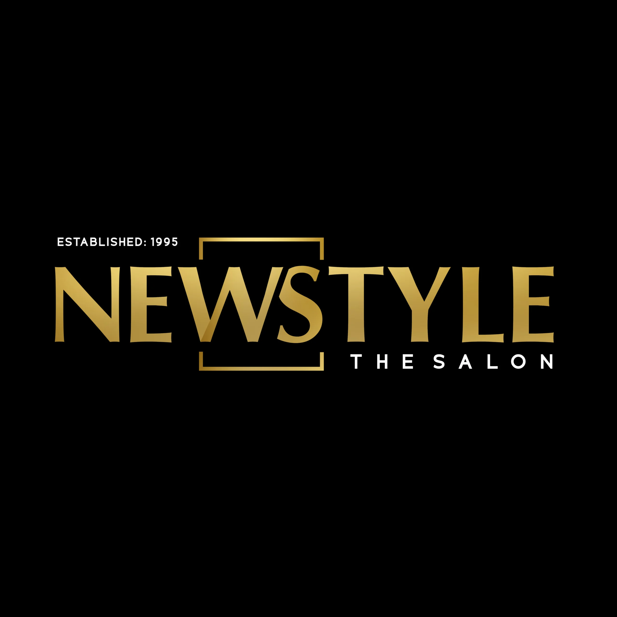 Newstyle The Salon logo for a premium unisex hair, beauty, makeup, skincare, and grooming salon in Vadodara.